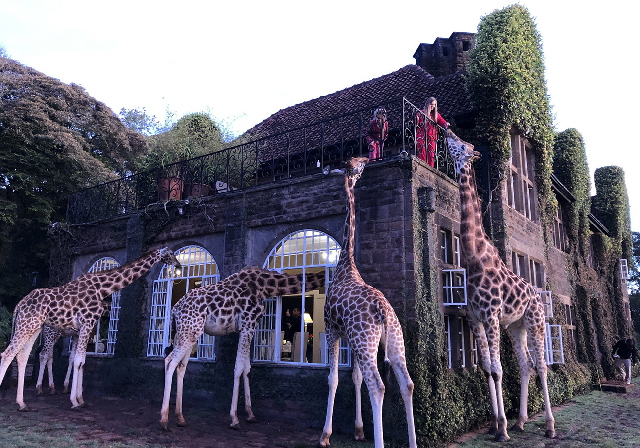 Deluxe Safari de Karibu Quênia